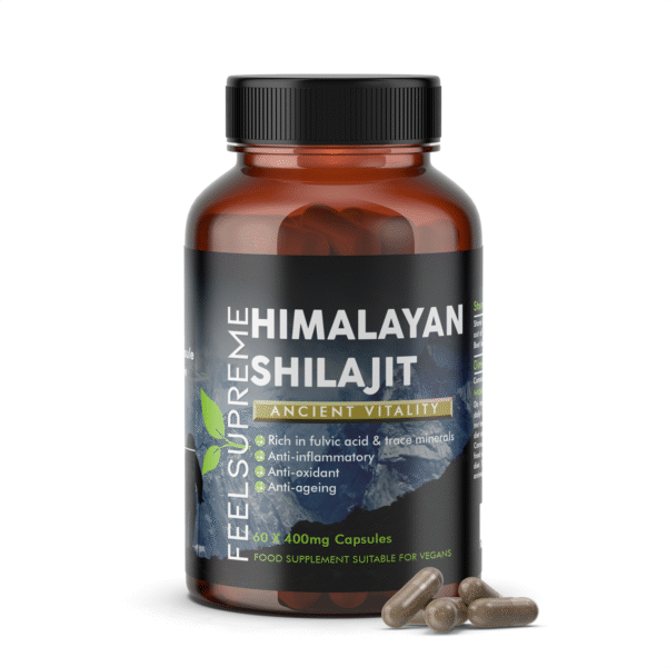 Himalayan Shilajit 60's